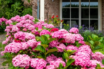 Middenweg 41, 8899 BA Vlieland